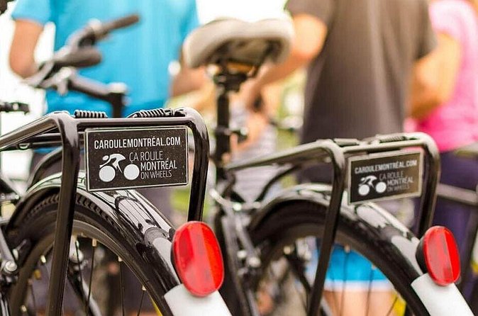 Full Day Family Bike Rental - What the equipment adds to the value