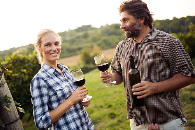 Full-Day Group Wine Tour (with cheese and charcuterie) in Niagara-on-the-Lake - Between the Lines: wine with a board