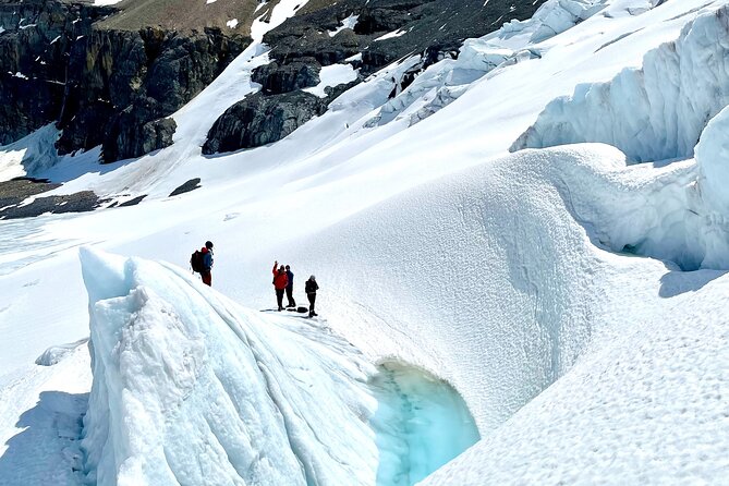 Full Day Guided Glacier Hike on The Athabasca with IceWalks - What the guides add to the day