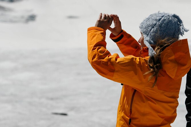 Full Day Guided Glacier Hike on The Athabasca with IceWalks - Who should book this glacier walk?