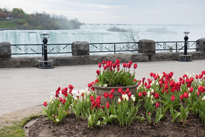 Full-Day Niagara Falls Tour from Toronto w/Boat/JBF/Tower - Lunch and managing your three hours