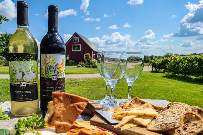 Full Day Pontiac Wine & Cider Tour - Day Trip From Ottawa & Gatineau - The Pontiac wine tour at a glance