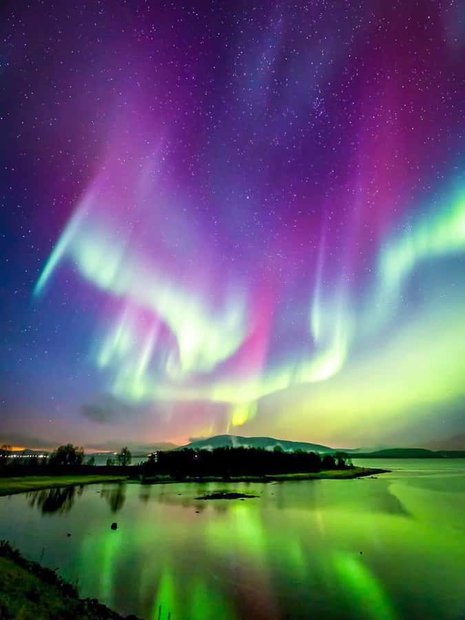 Full-Day Yellowknife Tour with Northern Lights/Aurora View - The evening Aurora hunt after 8:30 PM