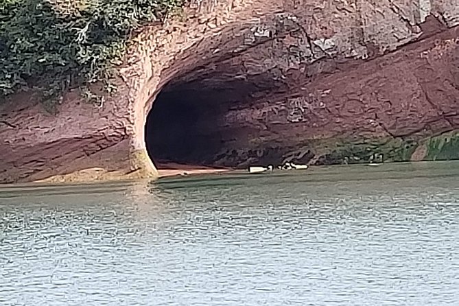 Fundy Coast to Fundy Shore Tour - Why This Tour Works Well From a Cruise Ship