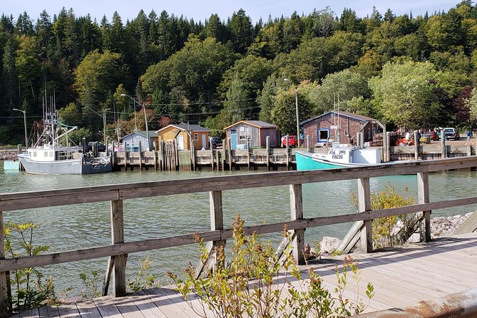Fundy Coast to Fundy Shore Tour - Saint John City Market: A Short Taste of Local Life