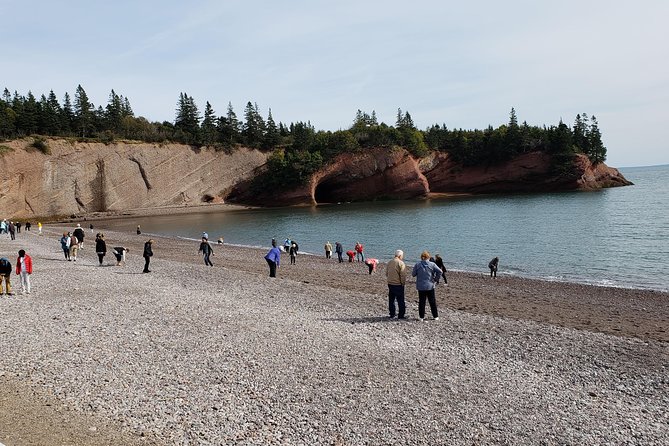 Fundy Coast to Fundy Shore Tour - Is $96.23 a Fair Price?