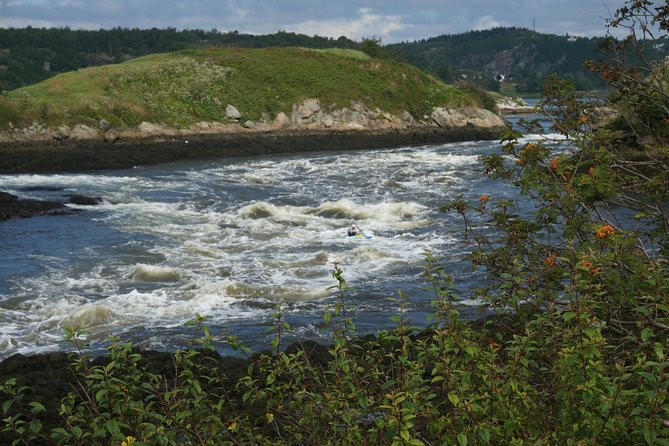 Fundy Coast to Fundy Shore Tour - St. Martins: Fishing Boats, Covered Bridges, and Tide-Worn Caves