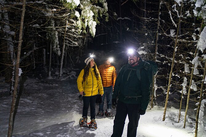 Gatineau Park Nocturnal Snowshoeing Adventure & Dinner - From Ottawa & Gatineau - Quick facts about the winter outing