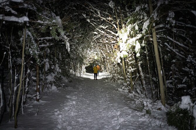 Gatineau Park Nocturnal Snowshoeing Adventure & Dinner - From Ottawa & Gatineau - What the guide adds to the experience