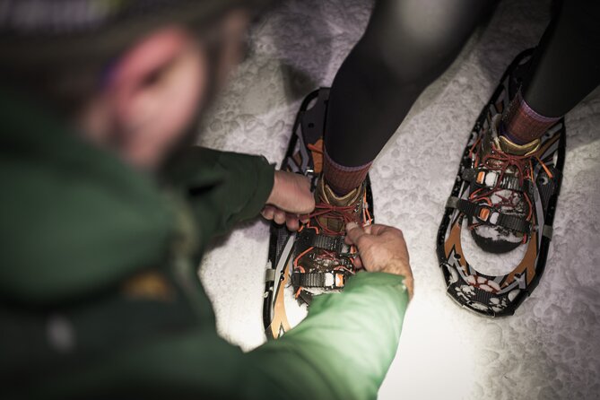 Gatineau Park Nocturnal Snowshoeing Adventure & Dinner - From Ottawa & Gatineau - Timing, weather, and cancellation details
