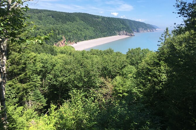 Go Fundy Tours - Guides who make the day feel personal