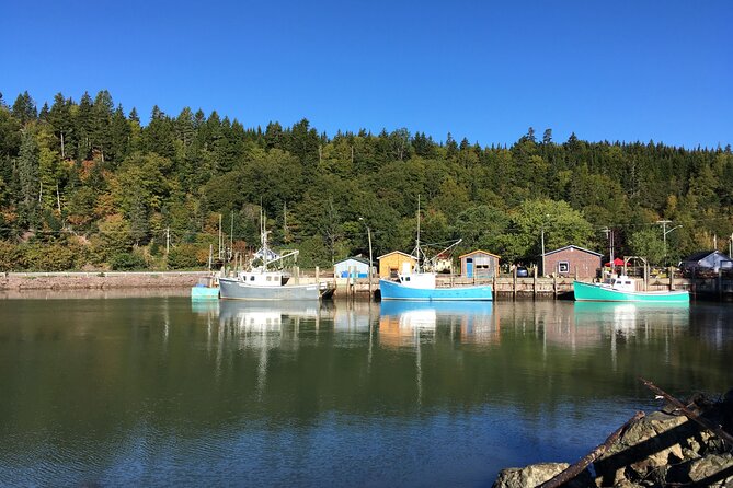 Go Fundy Tours - Group size, comfort, and the pace of the day