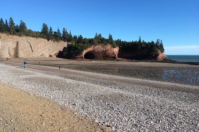 Go Fundy Tours - Best for cruise passengers and active sightseers