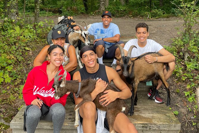Goat Hiking, Beaver Dam Visit and picnic in Quebec forest - A short ride from Quebec City, but not a city tour