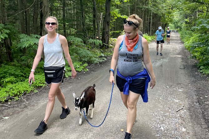 Goat Hiking, Beaver Dam Visit and picnic in Quebec forest - Tracking animals without needing to be an expert