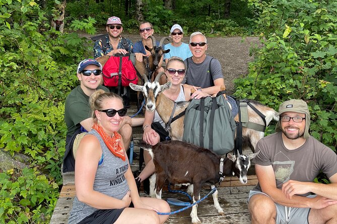 Goat Hiking, Beaver Dam Visit and picnic in Quebec forest - The beaver dam is a real feature, not a promise of wildlife