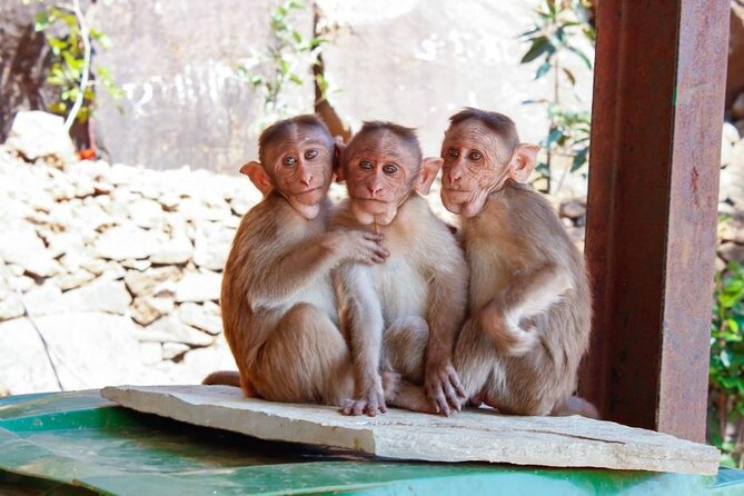 Granby Zoo 1 Day - Who will like this Granby Zoo trip