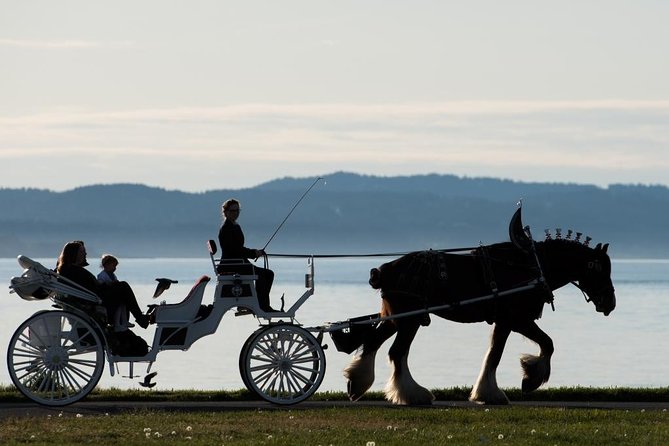 Grand Horse-Drawn Carriage Tour of Victoria - Key points to know before you book