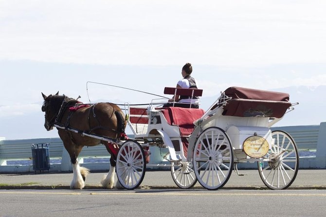 Grand Horse-Drawn Carriage Tour of Victoria - A guide-led ride instead of a silent photo loop