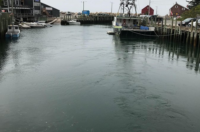 Grand Pre/Bay of Fundy / Hall's Harbour - Canning, with room for an extra stop