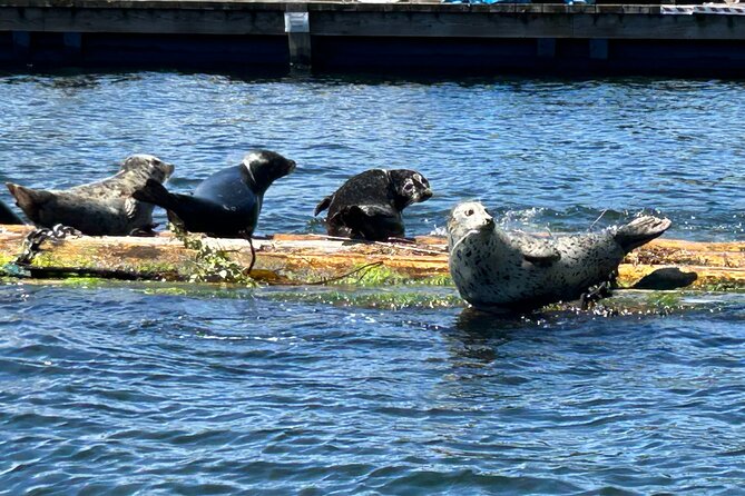 Granite and Silver Falls Private Boat Tour in Vancouver - Twin Islands and the open water