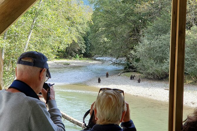 Great Bears of Bute: Grizzly Bear Viewing & Indigenous Cultural Tour - Why the Great Bears of Bute tour is different