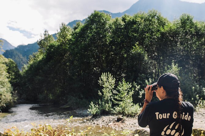 Great Bears of Bute: Grizzly Bear Viewing & Indigenous Cultural Tour - Who should book this bear tour?