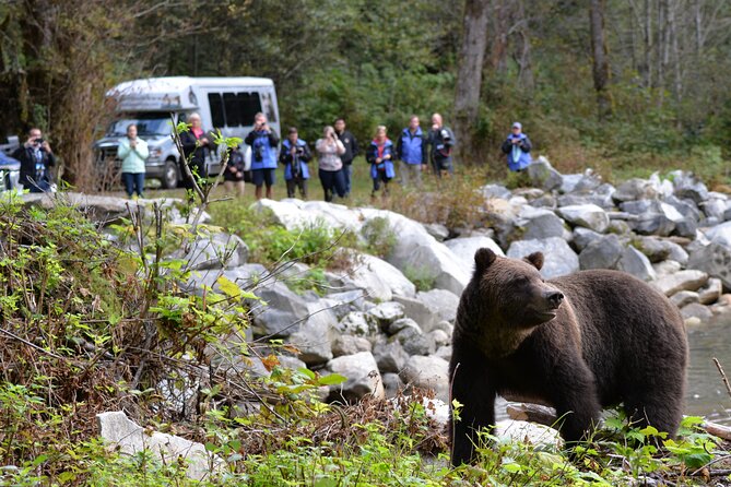 Great Bears of Bute: Grizzly Bear Viewing & Indigenous Cultural Tour - Arriving in Orford Bay and entering grizzly country