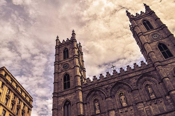 Greater Montreal 5-hour VIP Guided City Tour - Mount Royal, the tour’s best viewpoint