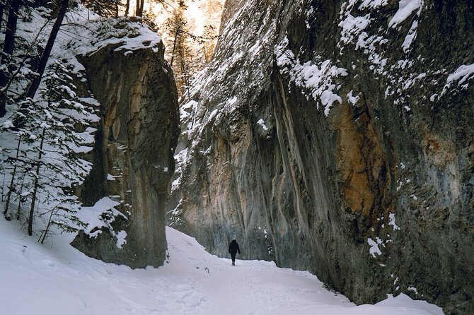 Grotto Canyon Majestic Ice Walk tour from Banff, Calgary, Canmore - What the Grotto Canyon Ice Walk is really like