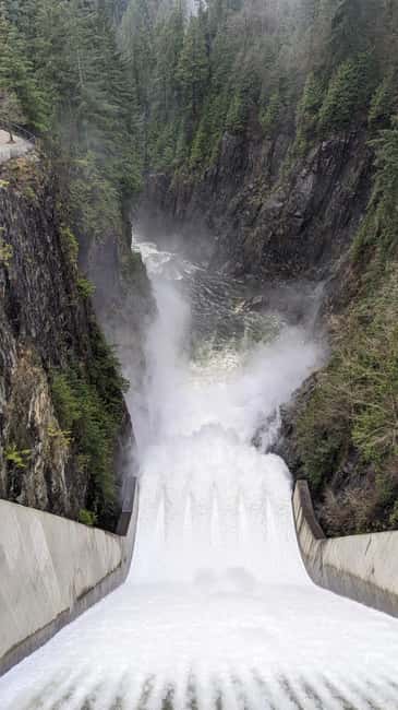 Grouse Mnt+StanleyPark+Hatchery+Cleveland Dam+LynnCanyonTOUR - The salmon hatchery adds meaning to the river visit