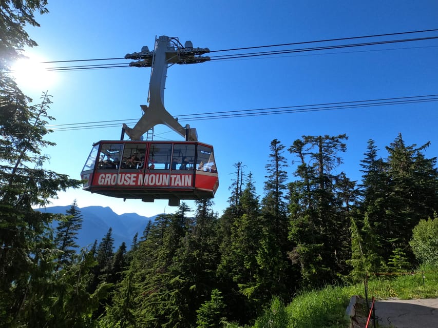 Grouse Mnt+StanleyPark+Hatchery+Cleveland Dam+LynnCanyonTOUR - Capilano River Regional Park brings back the rainforest