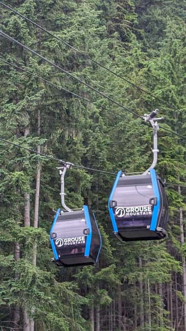 Grouse Mnt+StanleyPark+Hatchery+Cleveland Dam+LynnCanyonTOUR - Pickup, timing, and what to bring