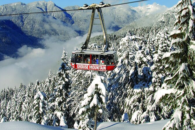 Grouse Mountain Admission Ticket - From Vancouver streets to Grouse Mountain