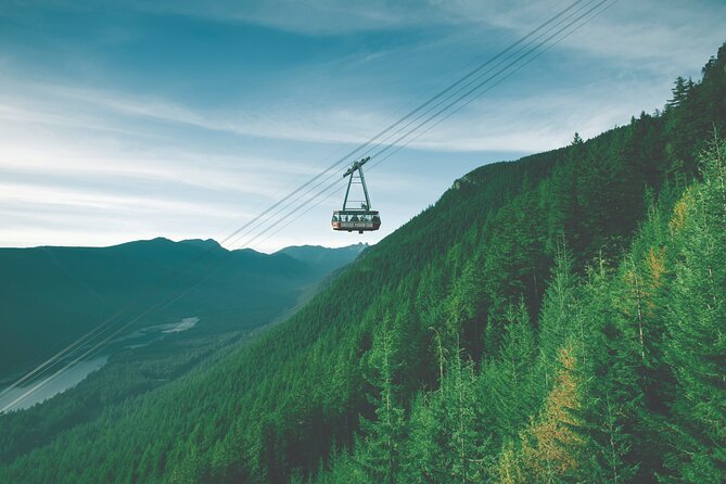 Grouse Mountain Admission Ticket - Summer brings bears, birds, and lumberjacks