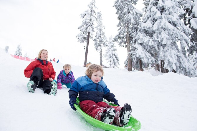 Grouse Mountain Admission Ticket - How much time and money should you plan?