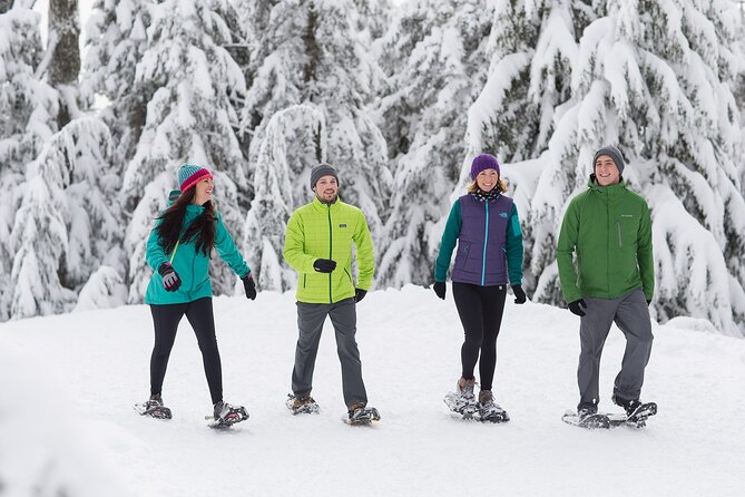 Grouse Mountain Admission Ticket - A practical half-day plan