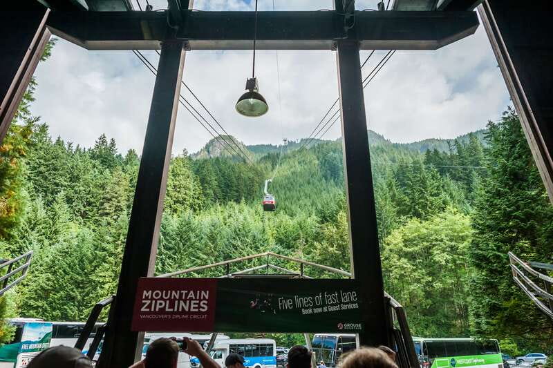 Grouse Mountain, Capilano Bridge & Fish Hatchery Tour - Key points to know before booking