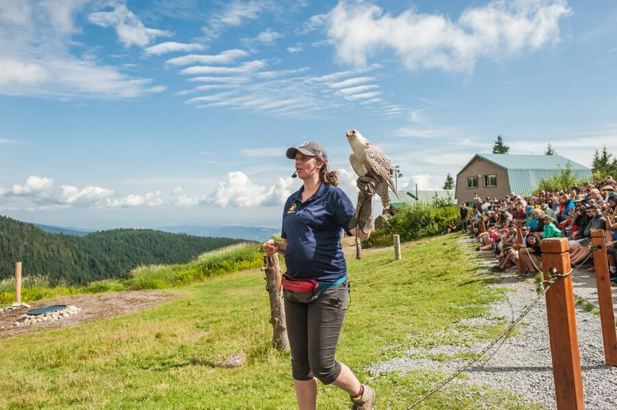 Grouse Mountain, Capilano Bridge & Fish Hatchery Tour - FAQ