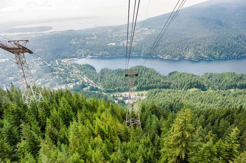 Grouse Mountain, Capilano Bridge & Fish Hatchery Tour - From downtown to the Lions Gate Bridge