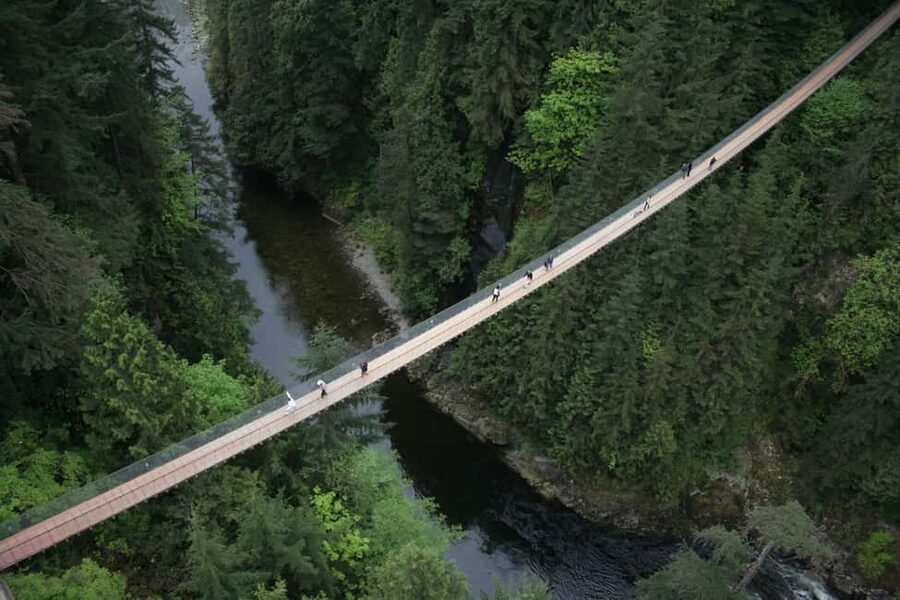 Grouse Mountain, Capilano Bridge & Fish Hatchery Tour - A short stop at Capilano River Hatchery