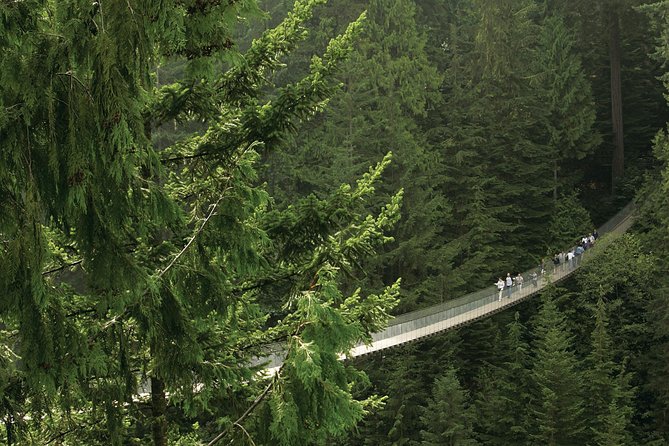 Grouse Mountain & Capilano Bridge Tour with Fish Hatchery - What this Vancouver day is really designed to do