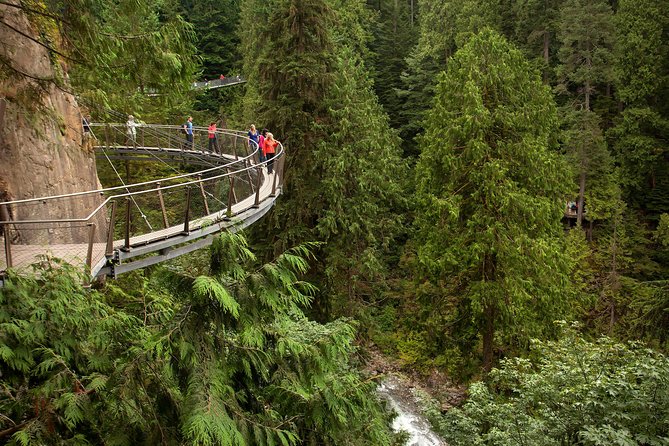 Grouse Mountain & Capilano Bridge Tour with Fish Hatchery - Grouse Mountain Skyride: a dramatic ride with a weather risk