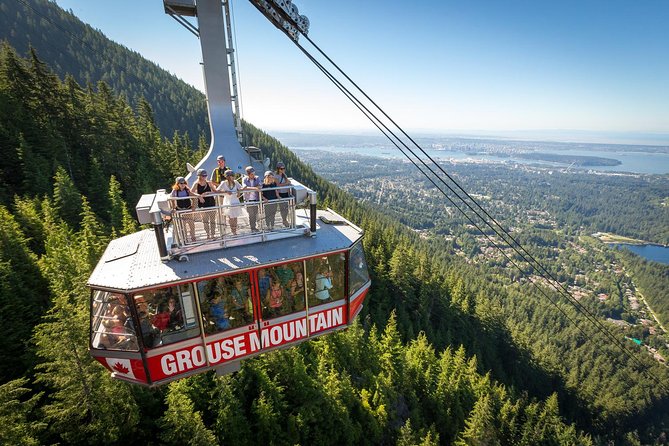 Grouse Mountain & Capilano Bridge Tour with Fish Hatchery - Capilano River Hatchery: a quick lesson in salmon