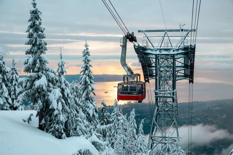 Grouse Mountain Skyride Admission Ticket - Meeting Coola and Grinder in the grizzly habitat