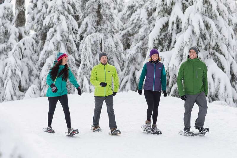 Grouse Mountain Skyride Admission Ticket - Summer shows: bears, birds, and lumberjacks