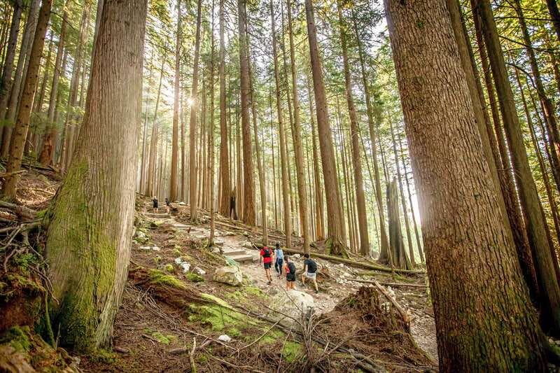 Grouse Mountain Skyride Admission Ticket - Eating at the Mountaintop Chalet
