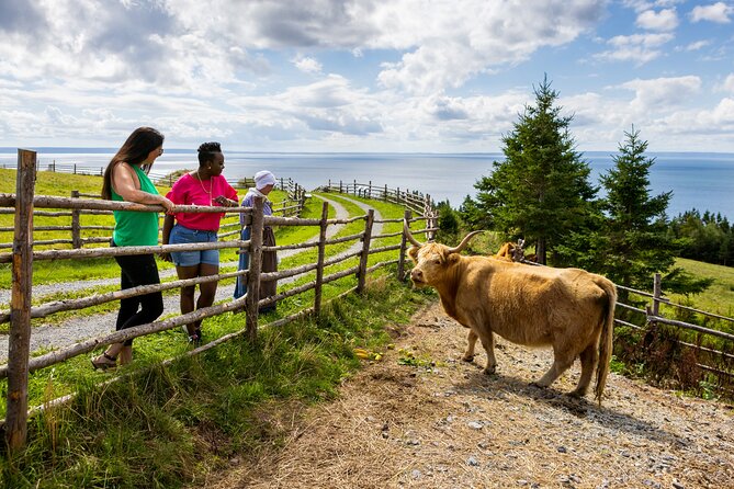 Guided Highland Village and Baddeck Bus Tour for Cruise Excursion - Guide quality and the small-group advantage