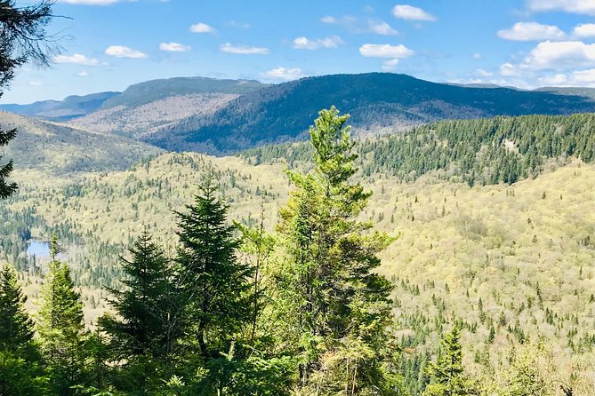 Guided Hike in Jacques-Cartier National Park - How much value do you get for $119.41?