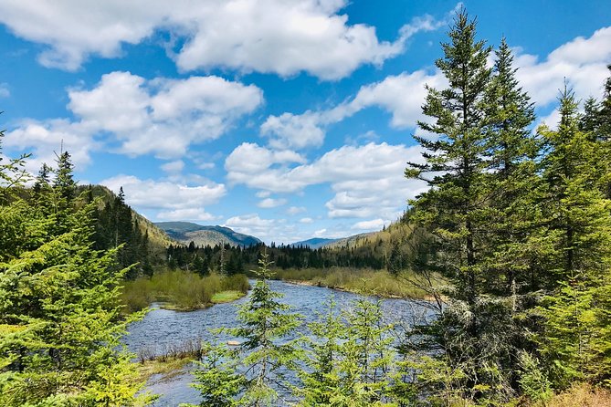 Guided Hike in Jacques-Cartier National Park - The morning walk: easy trails, forest stories, and views